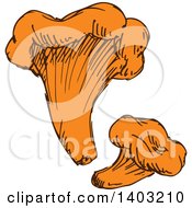 Poster, Art Print Of Sketched Mushrooms