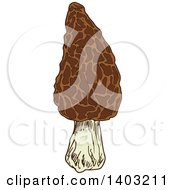 Clipart Of A Sketched Morel Mushroom Royalty Free Vector Illustration