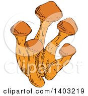 Clipart Of Sketched Mushrooms Royalty Free Vector Illustration