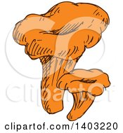 Clipart Of Sketched Mushrooms Royalty Free Vector Illustration