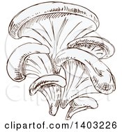 Clipart Of Sketched Oyster Mushrooms Royalty Free Vector Illustration