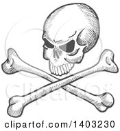 Poster, Art Print Of Sketched Gray Pirate Skull With Crossed Bones