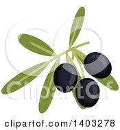 Clipart Of A Branch With Black Olives And Leaves Royalty Free Vector Illustration