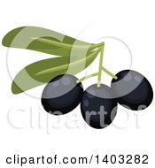Clipart Of A Branch With Black Olives And Leaves Royalty Free Vector Illustration by Vector Tradition SM