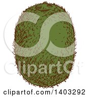 Clipart Of A Sketched Kiwi Fruit Royalty Free Vector Illustration