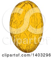 Clipart Of A Sketched Canary Melon Royalty Free Vector Illustration