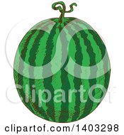 Clipart Of A Sketched Watermelon Royalty Free Vector Illustration