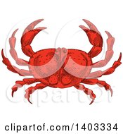 Poster, Art Print Of Sketched Red Crab