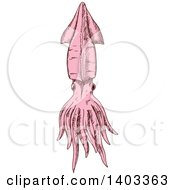 Clipart Of A Sketched Pink Squid Royalty Free Vector Illustration