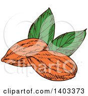 Clipart Of Sketched Almonds Royalty Free Vector Illustration by Vector Tradition SM