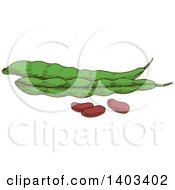 Poster, Art Print Of Sketched Beans And Pods