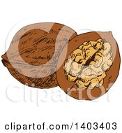 Clipart Of Sketched Walnut Royalty Free Vector Illustration