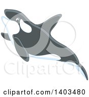 Poster, Art Print Of Cute Killer Whale Swimming