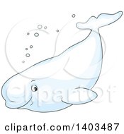 Cute Happy Beluga Whale Swimming