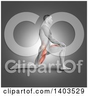 Clipart Of A 3d Fit Anatomical Man Kneeling In The Iliopsoas Stretch With Visible Leg Muscles On Gray Royalty Free Illustration