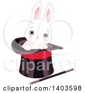 Cute Blue Eyed White Bunny Rabbit In A Magicians Top Hat