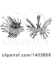 Poster, Art Print Of Black And White Woodcut Lionfish Shown In Profile And From The Front