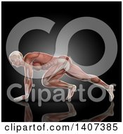 Poster, Art Print Of 3d Anatomical Man In A Press Up Pose With Visible Muscles On Black