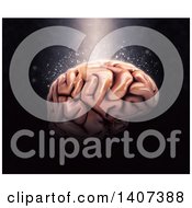 Clipart Of A 3d Human Brain Over Black With Light Shining Down Royalty Free Illustration