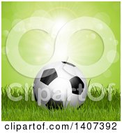 Poster, Art Print Of 3d Soccer Ball On Grass Against Green Flares