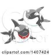 Clipart Of Killer Whale Orcas Swimming Royalty Free Vector Illustration