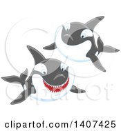 Poster, Art Print Of Killer Whale Orcas Swimming