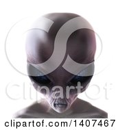 Poster, Art Print Of 3d Alien Beauty Shot On A White Background