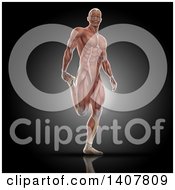 Clipart Of A 3d Fit Anatomical Man Stretching A Leg With Visible Muscles On Black Royalty Free Illustration