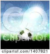 Poster, Art Print Of 3d Soccer Ball On Grass Against Blue Sky And Flares