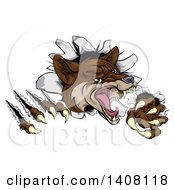 Poster, Art Print Of Vicious Coyote Mascot Slashing Through A Wall