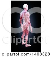 Clipart Of A 3d Detailed Man With Visible Muscles Royalty Free Illustration