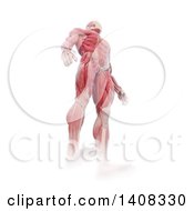 Poster, Art Print Of 3d Detailed Man With Visible Muscles Low Angle View On A White Background