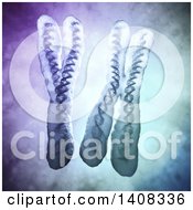 Clipart Of 3d X And Y Chromosomes Royalty Free Illustration