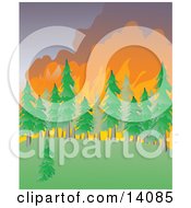 Wildfire Burning An Evergreen Forest Natural Hazard Clipart Illustration by Rasmussen Images #COLLC14085-0030