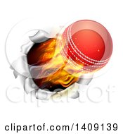 Poster, Art Print Of 3d Flying And Blazing Cricket Ball Breaking Through A Wall
