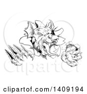 Poster, Art Print Of Black And White Fierce Welsh Dragon Mascot Head Slashing Through A Wall