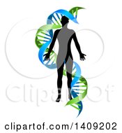Clipart Of A Black Silhoeutted Person In A Blue And Green Double Helix Dna Strand Royalty Free Vector Illustration by AtStockIllustration