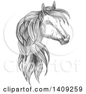 Poster, Art Print Of Dark Gray Sketched Horse Head