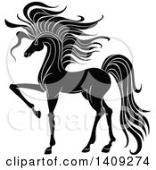 Poster, Art Print Of Black And White Horse