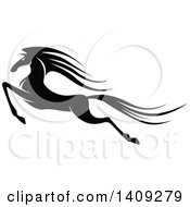 Poster, Art Print Of Black And White Horse