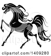 Poster, Art Print Of Black And White Horse