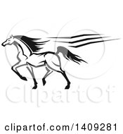 Poster, Art Print Of Black And White Horse