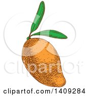 Sketched Mango