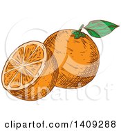 Poster, Art Print Of Sketched Navel Orange
