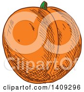 Clipart Of A Sketched Apricot Royalty Free Vector Illustration
