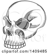 Clipart Of A Gray Sketched Human Skull Royalty Free Vector Illustration