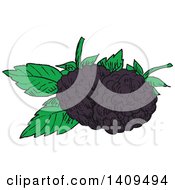 Poster, Art Print Of Sketched Blackberries And Leaves
