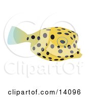 Poster, Art Print Of Cute Yellow Pufferfish With Black Spots