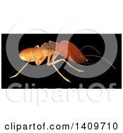 3d Termite In Profile On A Black Background