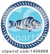 Poster, Art Print Of Retro Sheepshead Fish Over Blue In A Frame Of Rope